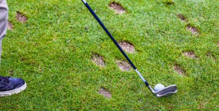 Many divots surround a golfer before he hits his next shot